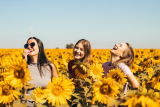Dames Tops: Hoe je ze draagt voor elke gelegenheid